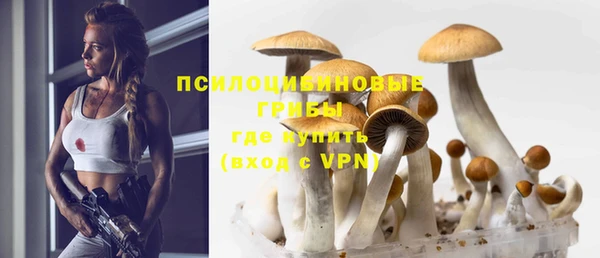 каннабис Богданович
