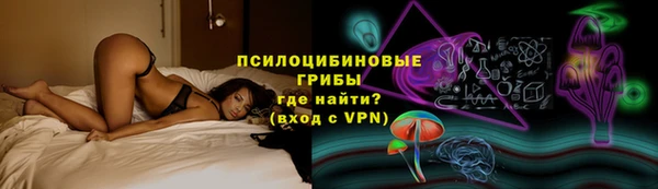 трава Богородицк