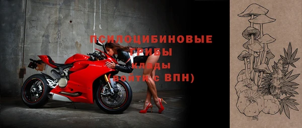 первитин Богородск